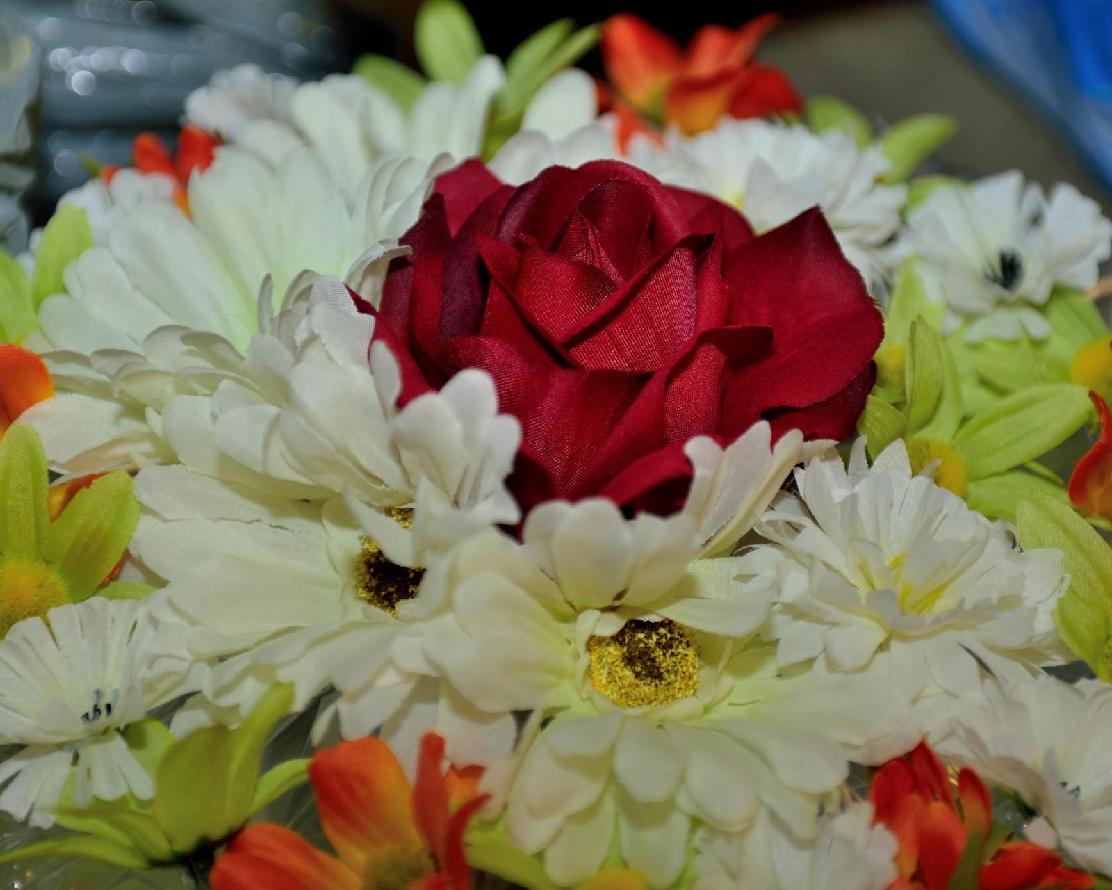 EV12_Mehandi_033.jpg